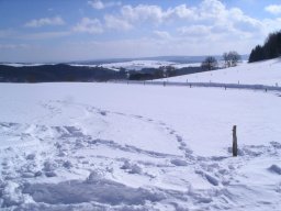 Rodeltag 2006